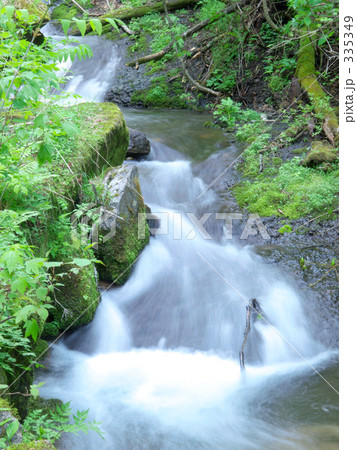 清流 清流 335349