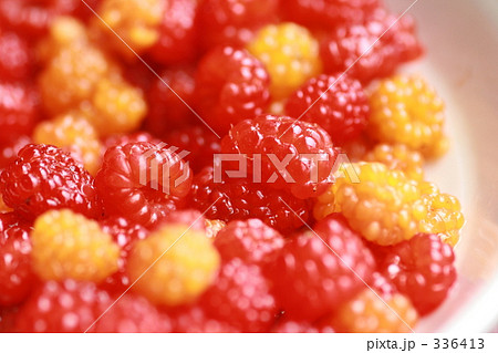 甘酸っぱい木苺 甘酸っぱい木苺 336413