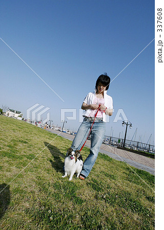 犬と散歩 犬と散歩 337608