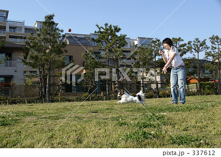 犬と散歩 犬と散歩 337612