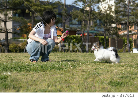 犬と散歩 犬と散歩 337613