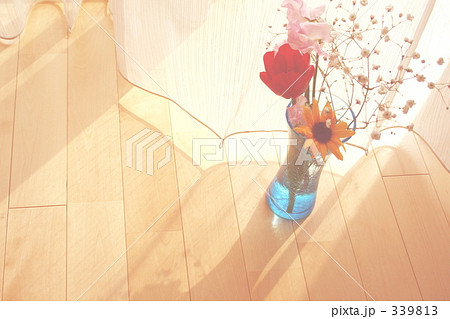 朝の光と風のイメージ 朝の光と風のイメージ 339813