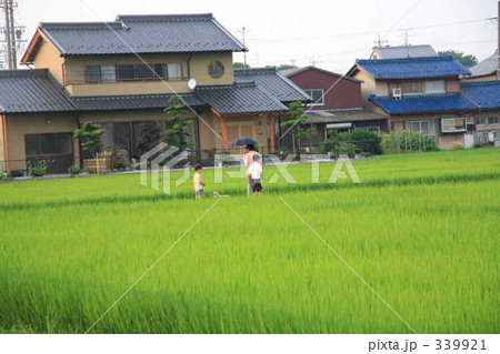 田畑を歩く 339921