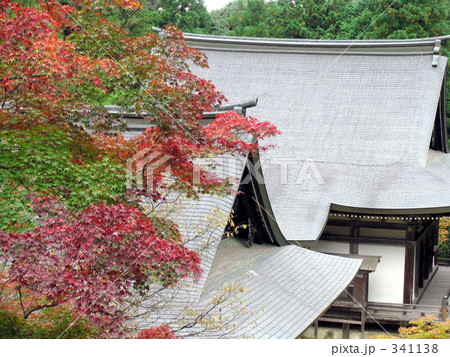 神護寺の秋 神護寺の秋 341138