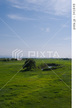 斐伊川･中州の風景 341649