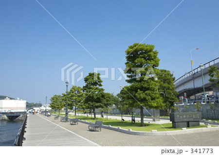 ヴェルニー公園 341773