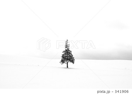 クリスマスツリー 341906