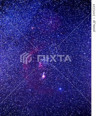 オリオン座 オリオン座 344334