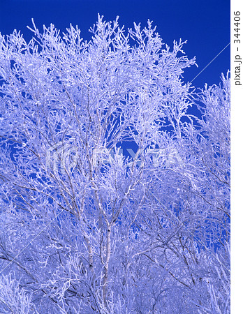 霧氷を纏う 344406
