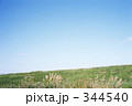 青空の下の緑とススキ 344540