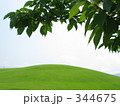 緑の丘と木の葉 344675