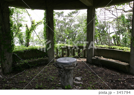 草木に埋もれる庭園 草木に埋もれる庭園 345794