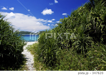 海へと続く道 347620