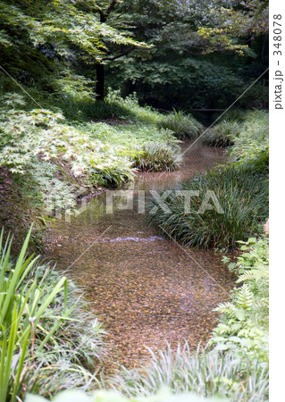 清らかな流れ 清らかな流れ 348078