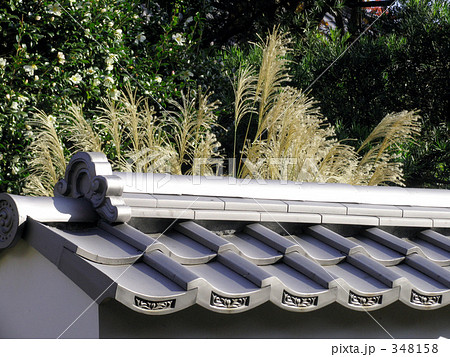 源光庵の秋 源光庵の秋 348158