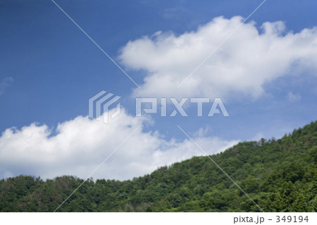 初夏の山のオニヤンマ 349194
