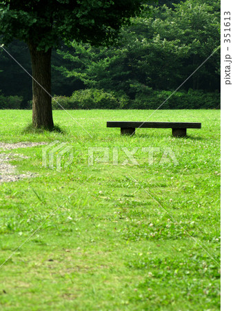 ベンチと木 351613