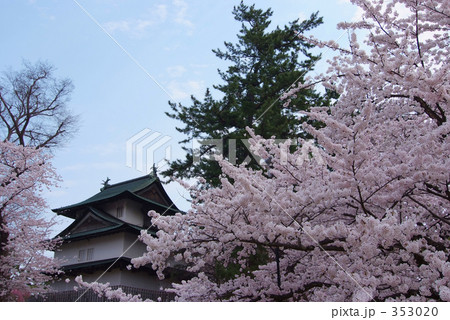 桜と丑寅櫓 353020