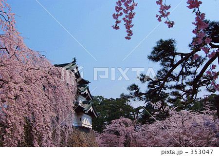 お城と枝垂れ桜 353047