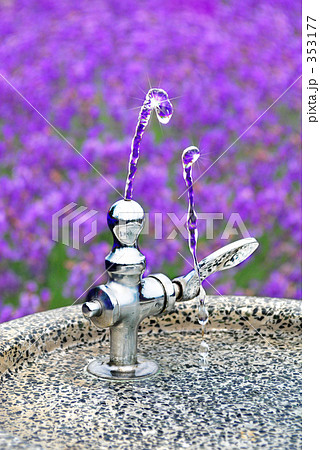 ラベンダー色の水 353177