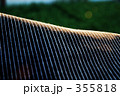 355818