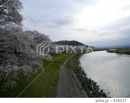 千本桜 千本桜 358527