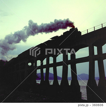 シルエット　D51 360606