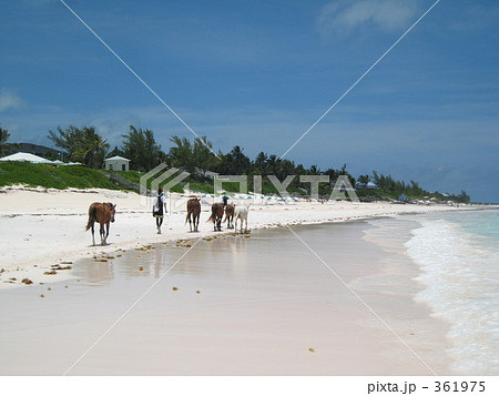 ビーチ 361975
