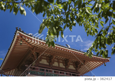 四天王寺北鐘堂と青葉 362417