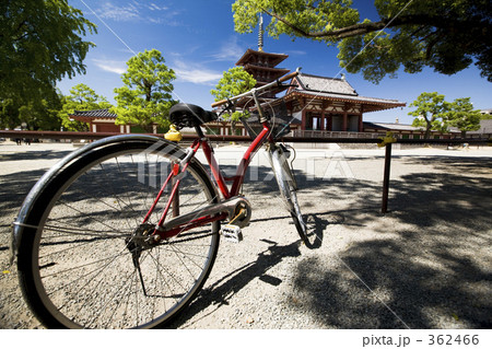 自転車に乗って 自転車に乗って 362466