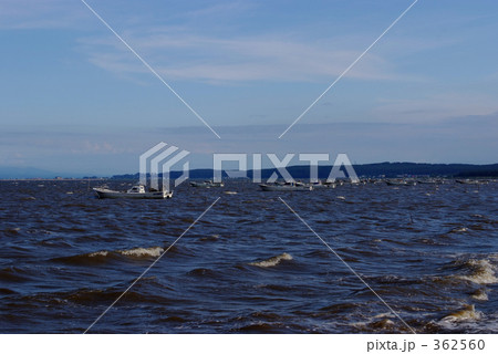 泥の湖 泥の湖 362560