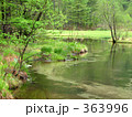 雨の田代池 363996