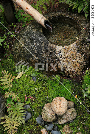 日本庭園 日本庭園 365035