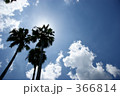 真夏の日差し 366814