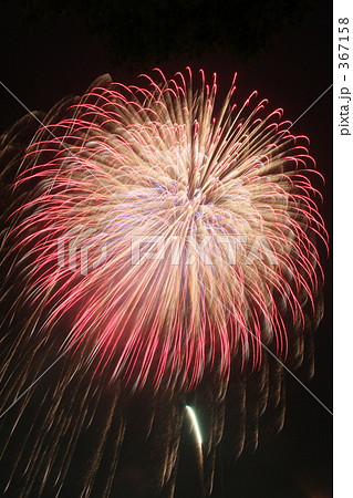 2008年 江戸川花火大会 367158