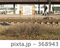 駅 368943