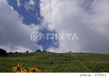 大きな夏雲 370421