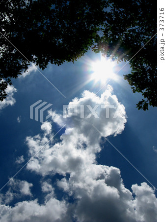 ギラつく夏の太陽 373716