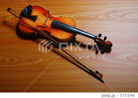 ばいおりん 375549