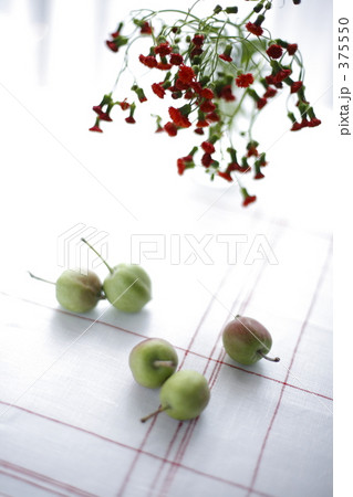姫りんごと赤い花 375550