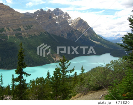 カナディアンロッキー　ペイトレイク　Peyto Lake 375820
