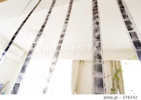 白黒フィルムを現像 白黒フィルムを現像 376542