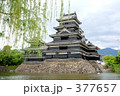 松本城 377657