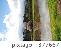 桜の風景 377667