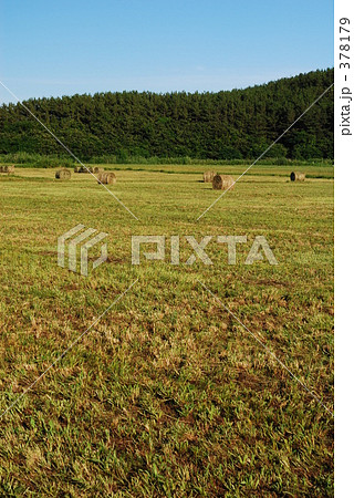 ロールベール 378179