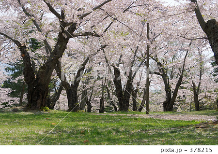 青葉ヶ丘公園 青葉ヶ丘公園 378215