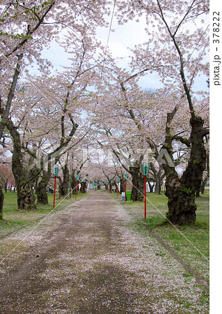 青葉ヶ丘公園 青葉ヶ丘公園 378222