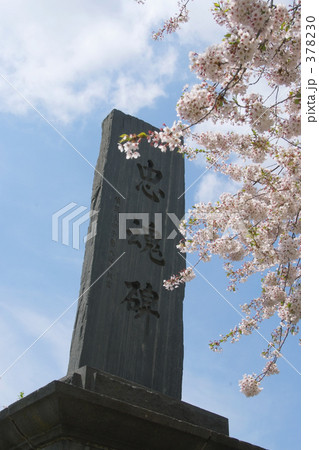 青葉ヶ丘公園 378230