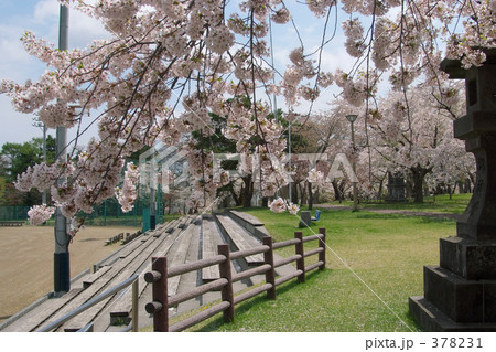 青葉ヶ丘公園 378231