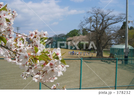 青葉ヶ丘公園 378232